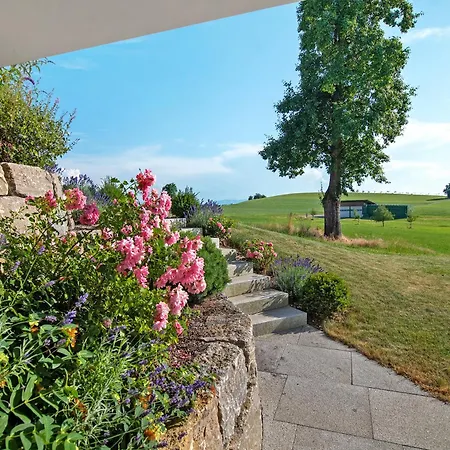 Landschaftstraum Am Bodensee *