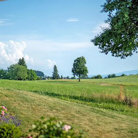Landschaftstraum Am Bodensee *